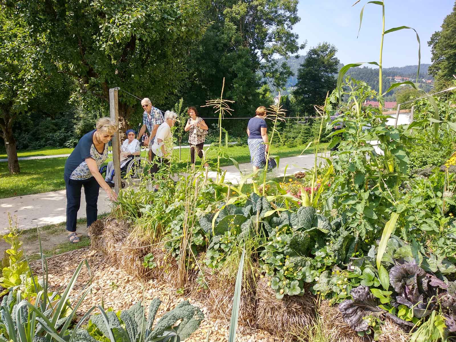 Bauerngarten